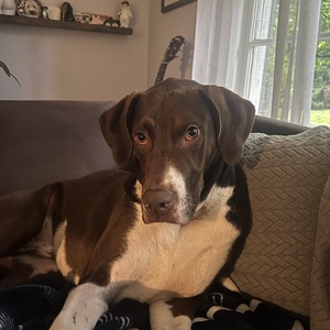 Fundraising Page: Allen B